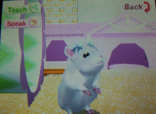 hamsterz life